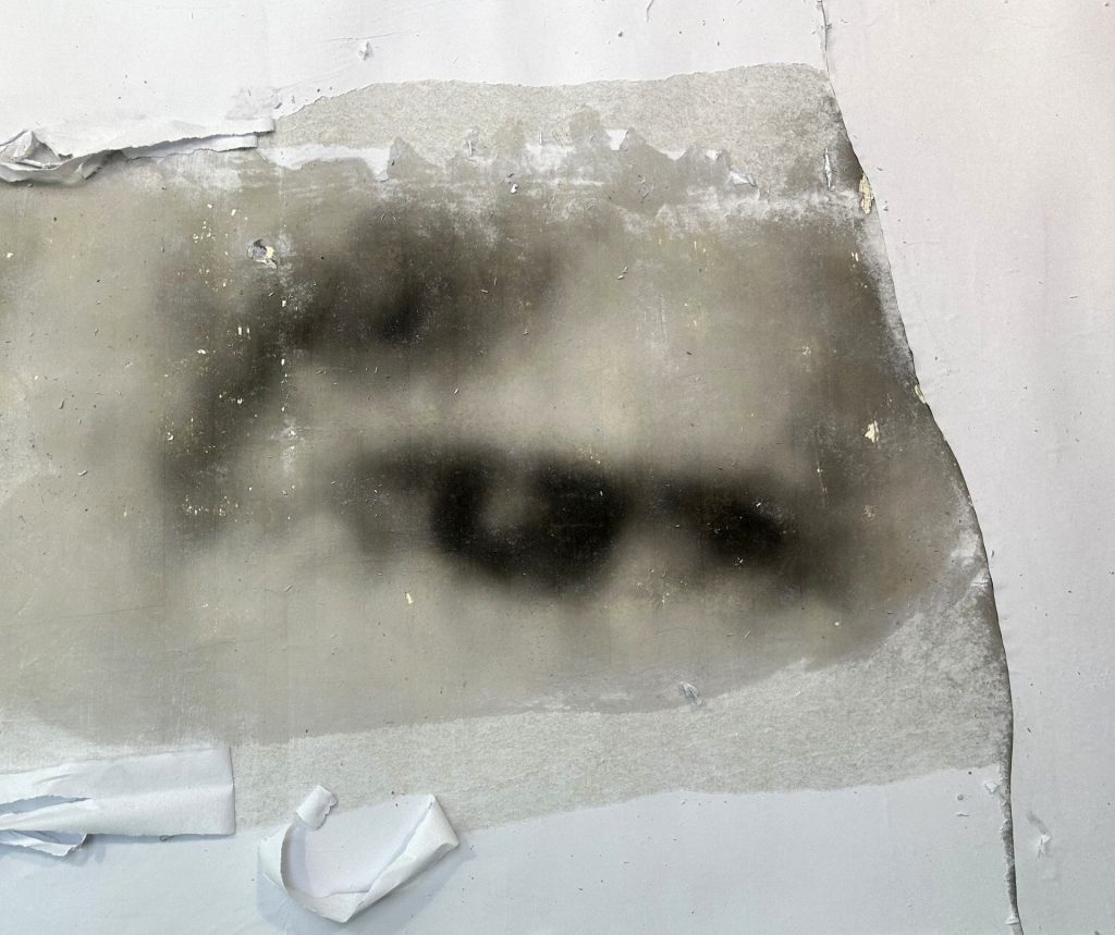 Mil llacs de Memòria exposició de Gabriel Verderi