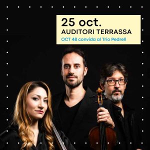 L' Orquestra de Cambra Terrassa 48 convida al Trio Pedrell | Auditori Terrassa | Terrassa Cultura