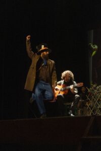 Alicia en el país del flamenco