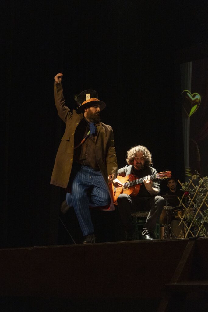 Alicia en el país del flamenco